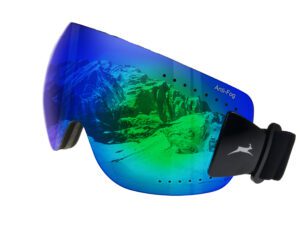 Skibrille WS9140 Gamswild Schneebrille