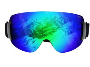 Skibrille WS9140 Gamswild Schneebrille