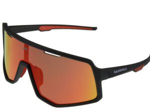 Sportbrille WS4042 Gamswild TR90 "Topmodell 2024"