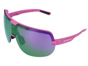 Sportbrille WS2146 Gamswild TR90